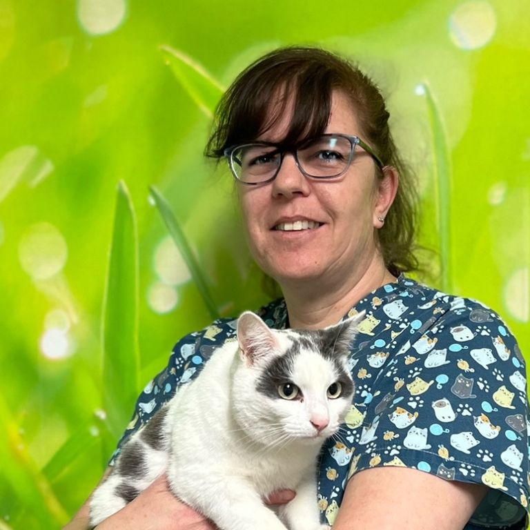 Praxis 7 Leben, Tierärztliche Katzenpraxis de Leuw