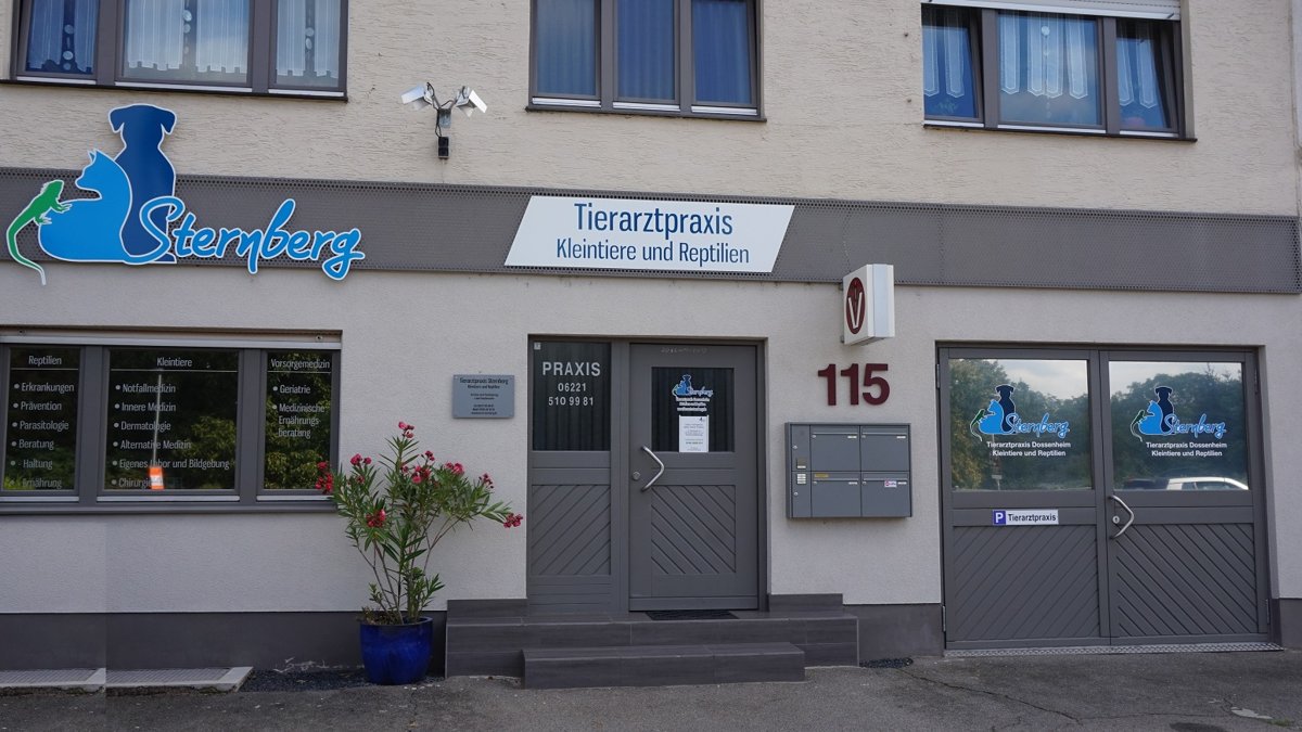 Tierarztpraxis Sternberg Kleintiere und Reptilien