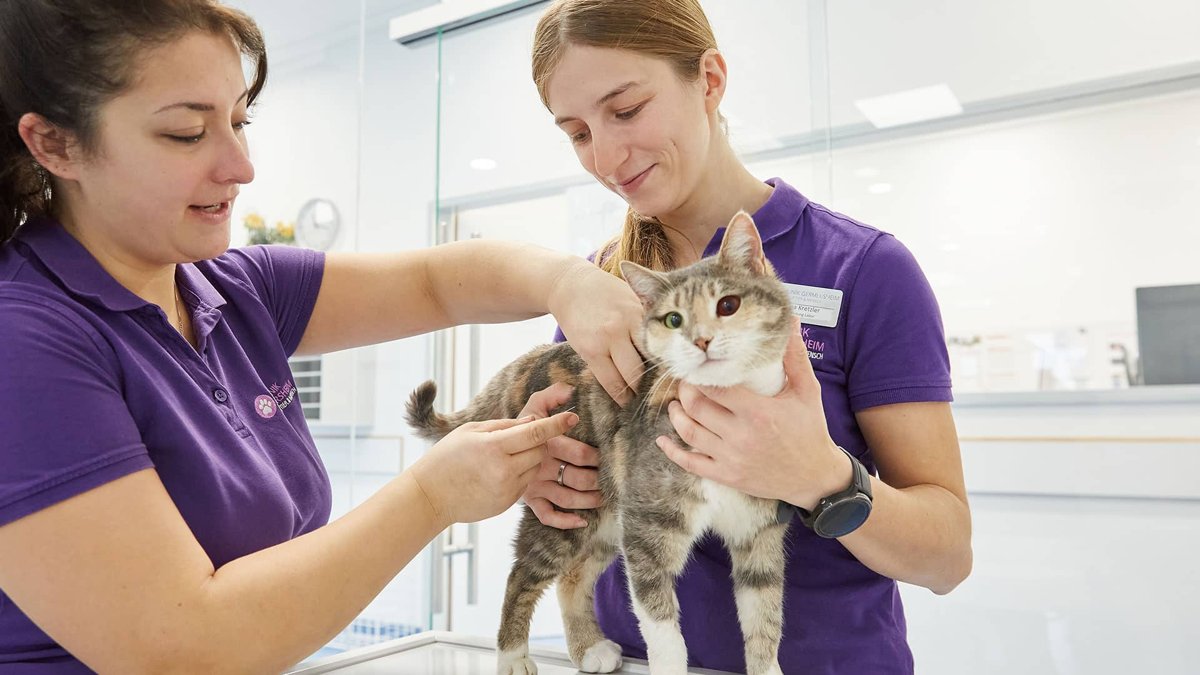 Tierklinik Germersheim GmbH