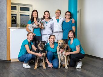 Dr.med.vet. Gudula Golomski