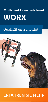 Dr.med.vet. Paul Bidon Tierarzt