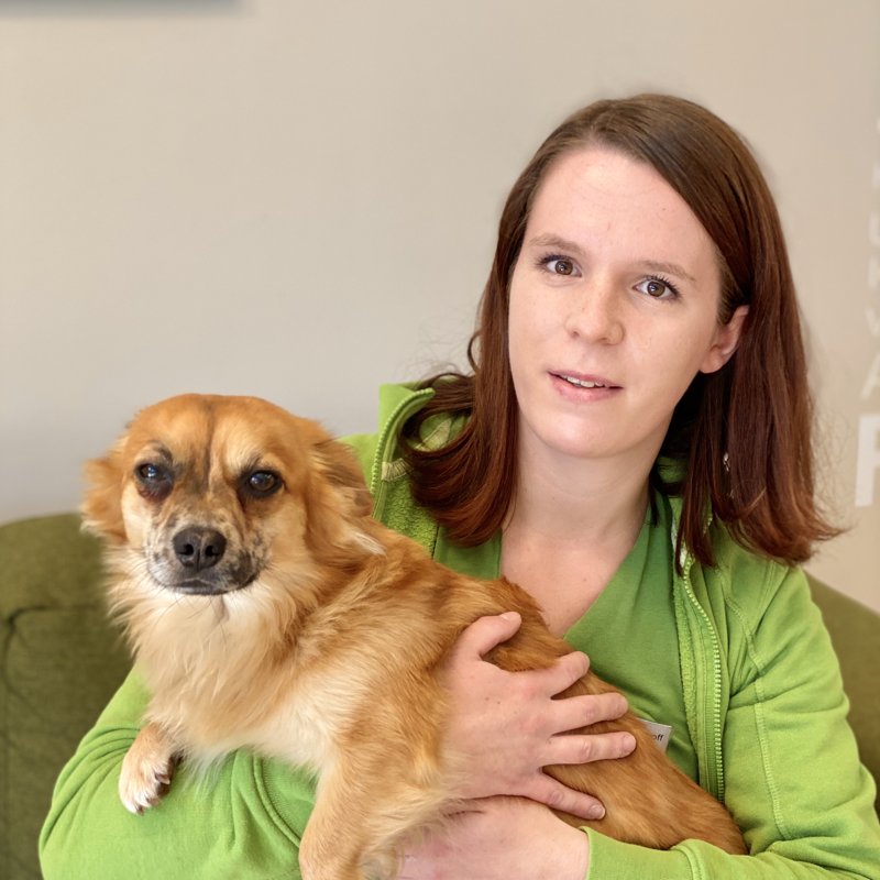 Tierarztpraxis Itterburg | Dr. med. vet. Julia Link
