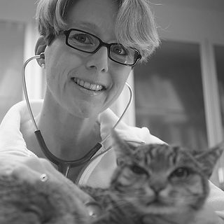 Dr. med.vet. Stephan u. Ines Löscher Tierärztliche Praxis Bad Krozingen