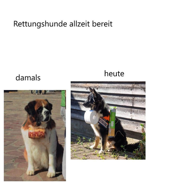 Kleintierpraxis Dres. Reinle & Grundmann GmbH