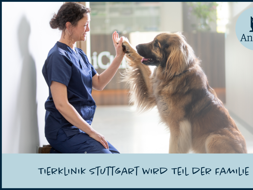 AniCura Tierklinik Stuttgart Plieningen