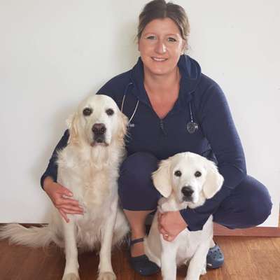 Dr.med.vet. Anke Brodauf
