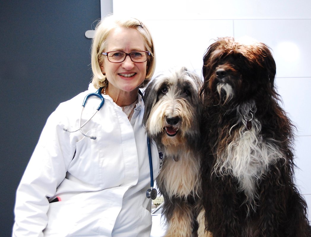 Dr. med. vet. Schriever / Storm / Flieder