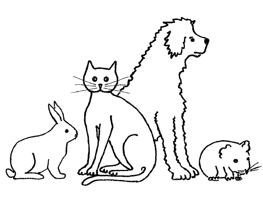Tierarztpraxis Rüdiger - NEU - Tierarztpraxis Surbtal