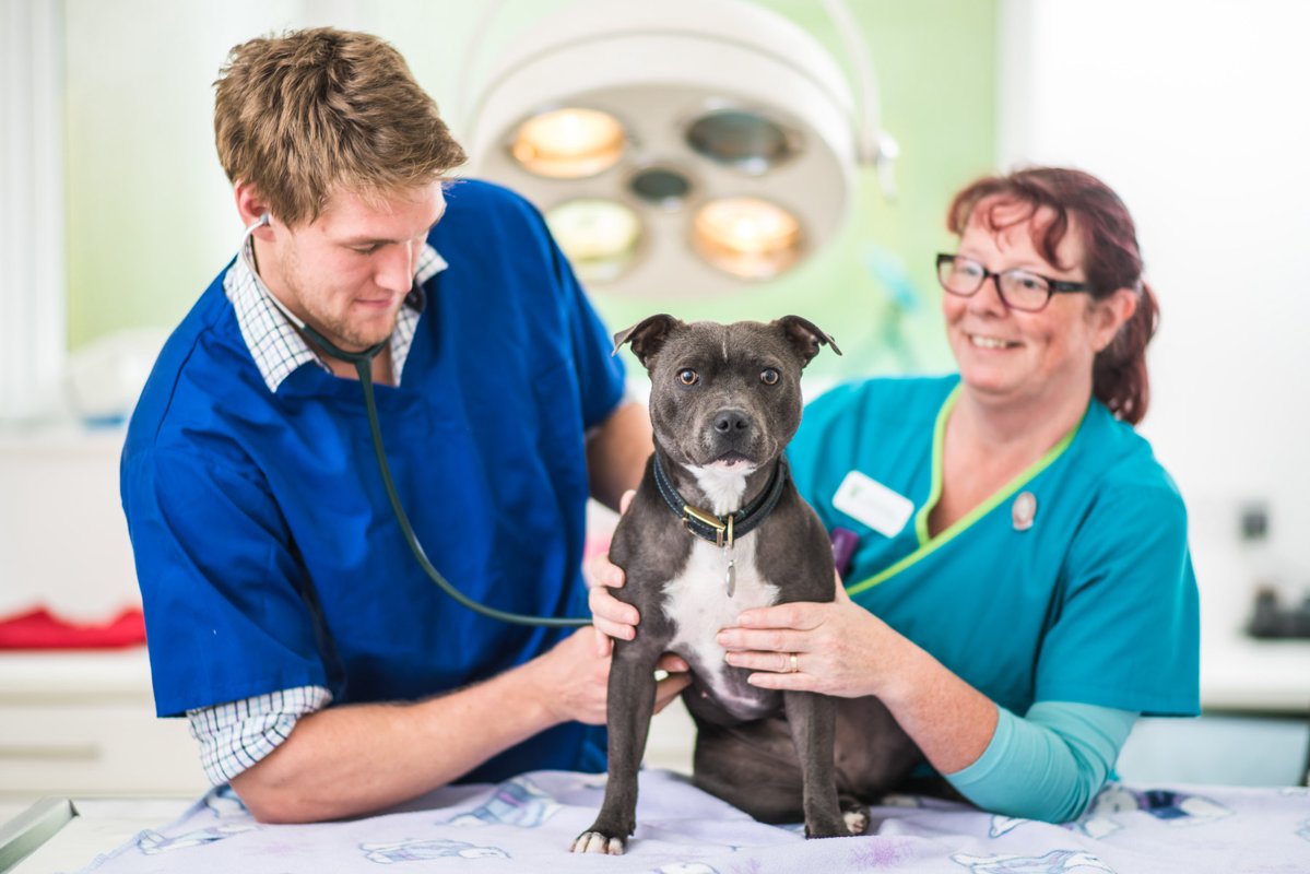 Tierärzte Engen IVC Evidensia GmbH