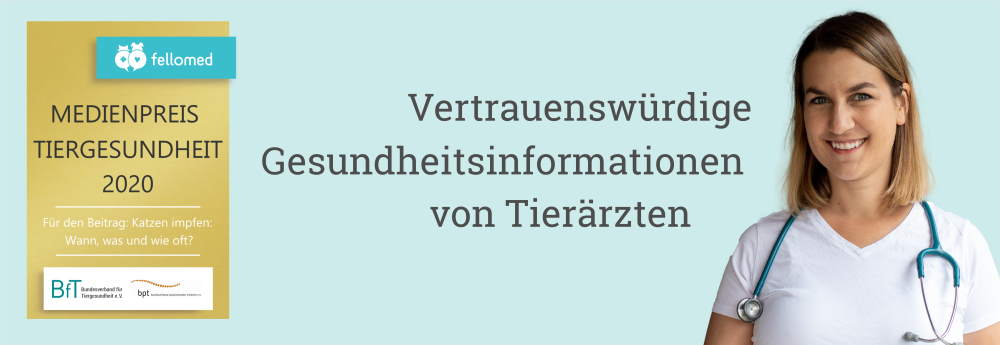Dr.med.vet. Ingrid Koch Tierärztin