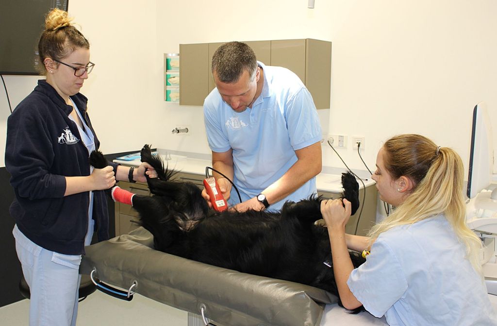 AniCura Tierklinik Stuttgart Plieningen