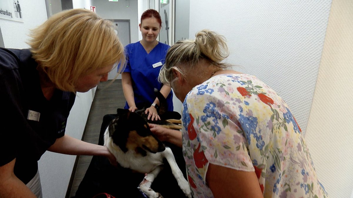 Kleintierklinik Frank