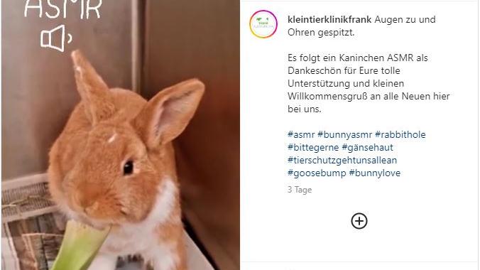 Kleintierklinik Frank