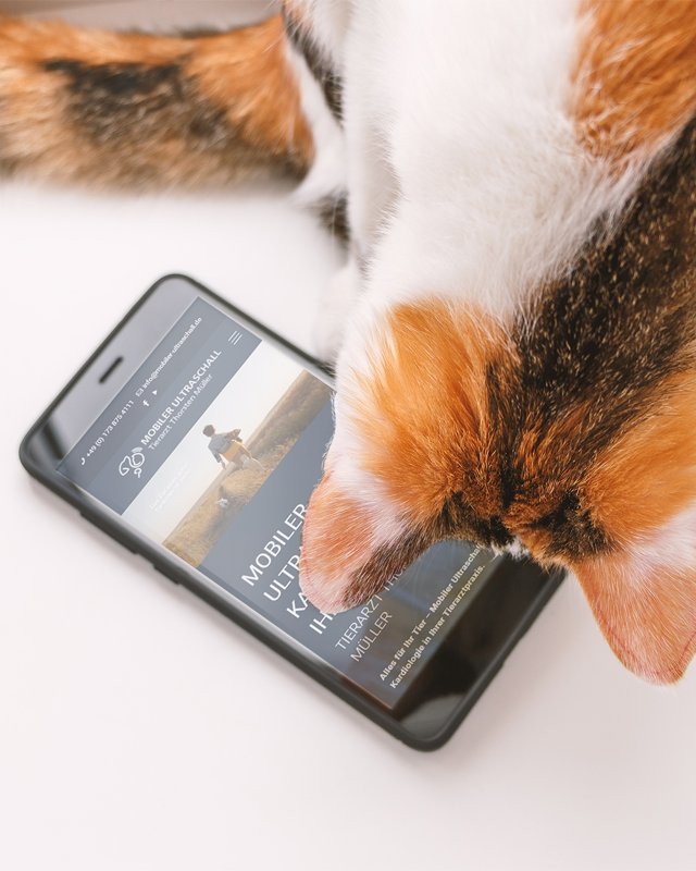 Mobile Kleintierpraxis Wiehre, Tierarzt Stefan Müller