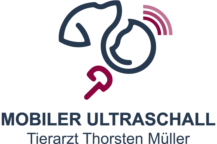 Mobile Kleintierpraxis Wiehre, Tierarzt Stefan Müller