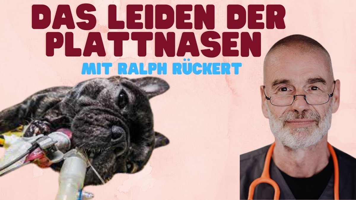 Tierarzt Ralph Rückert