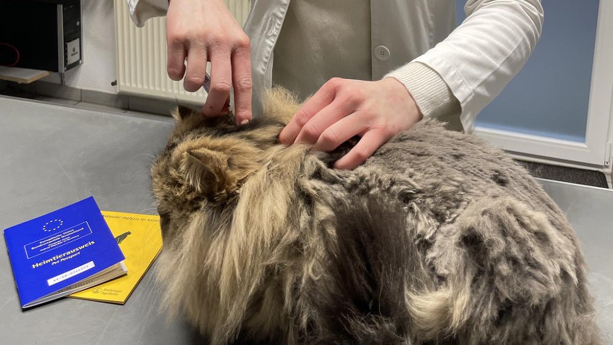 Tierklinik am Scheibenberg Preuß