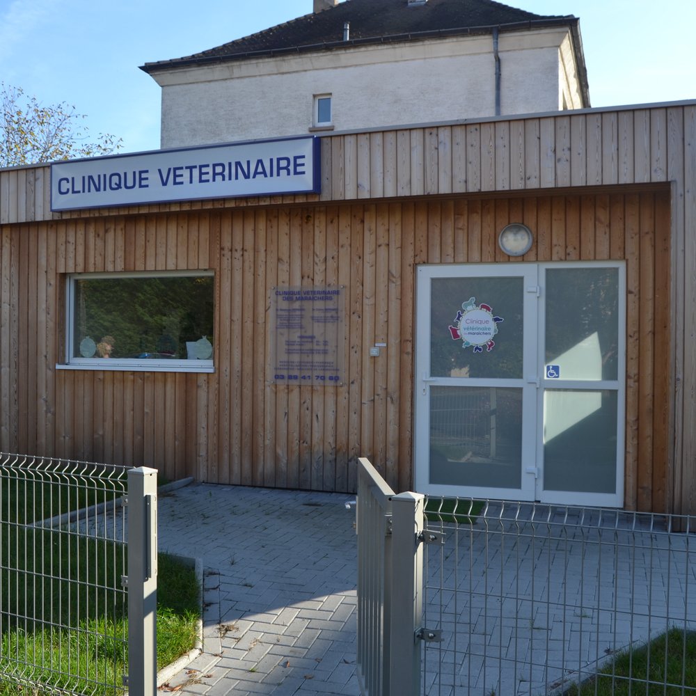 Dr. med. vet. Beate Schwing