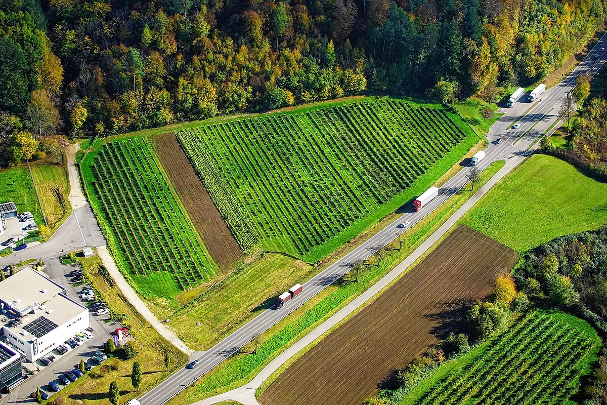 Schwarzwald-Tierklinik GmbH