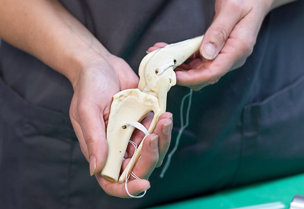 AniCura Tierklinik Stuttgart Plieningen