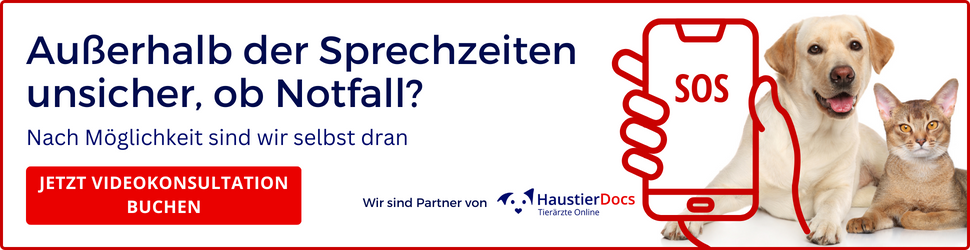 Tierarzt Moch Waghäusel, Tierarztpraxis Moch