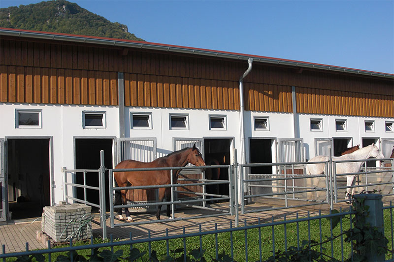 Dr.med.vet. Achim Reusch Tierarzt