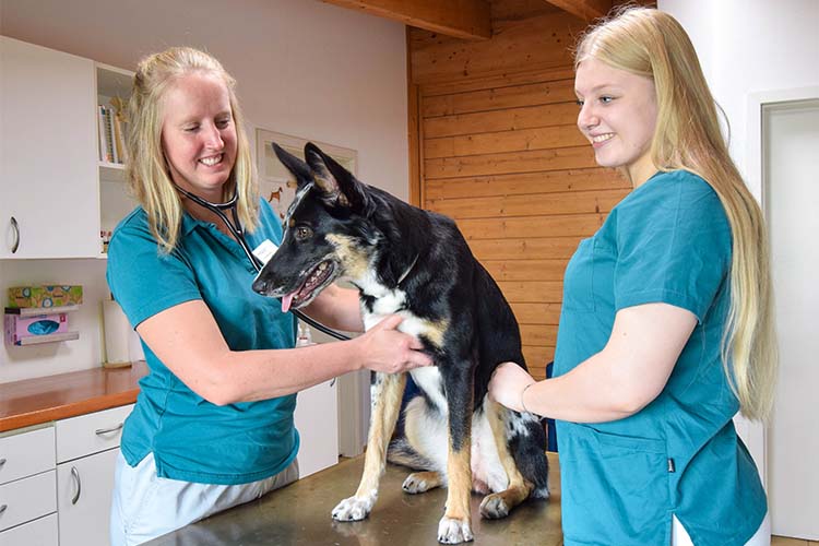 Zentrum für Tiergesundheit, Tierarztpraxis