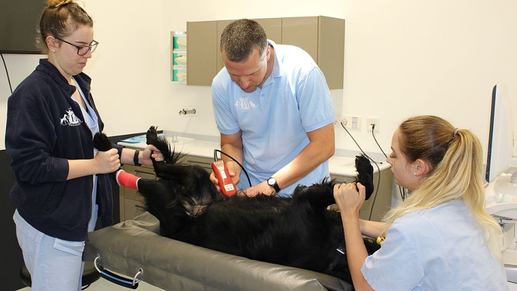 AniCura Tierklinik Stuttgart Plieningen