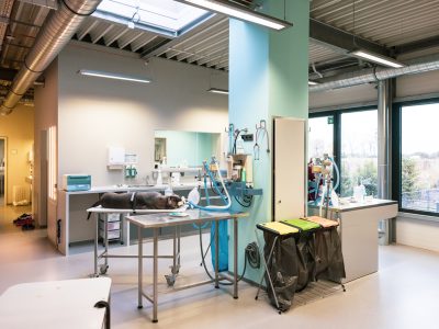 Tierärztliches Zentrum Dr. med. vet. C. Seidensticker GmbH