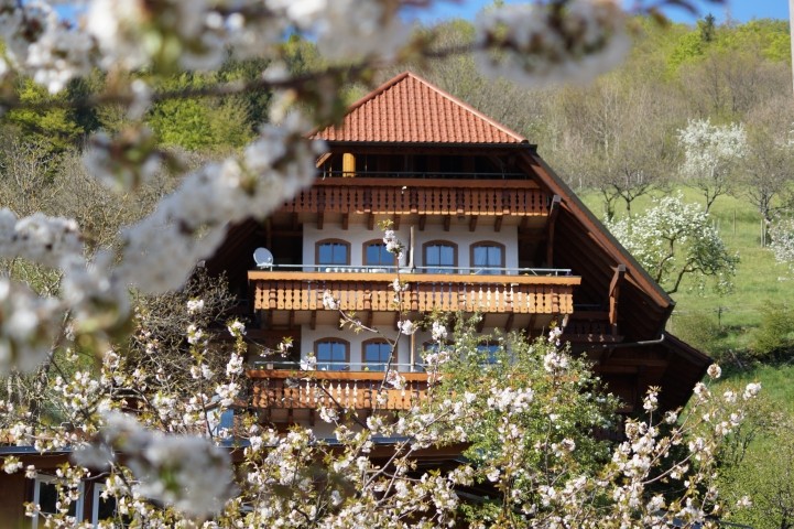 Schwarzwald-Tierklinik GmbH