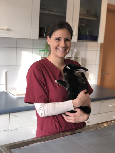 Tierarztpraxis Tettnang, Dr.med.vet. Guido Koslowski