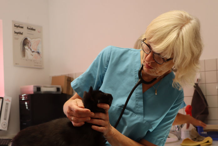 Dr. med. vet. Elisabeth Mayer Tierärztin