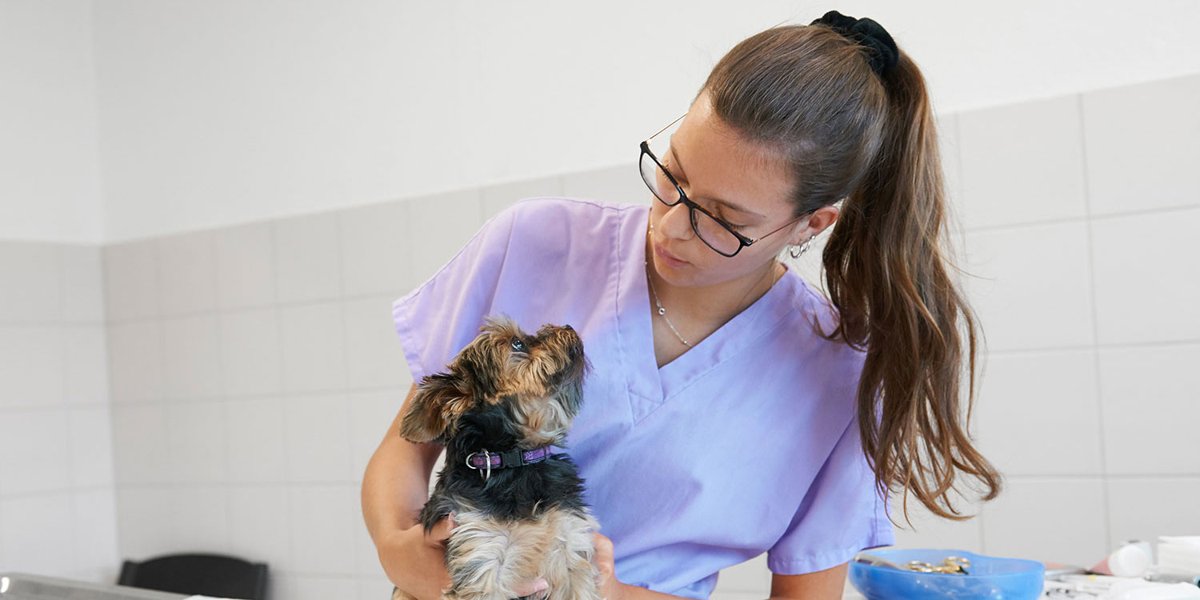 Tierklinik Mittelland AG