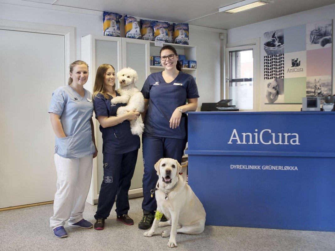 AniCura Tierklinik Stuttgart Plieningen