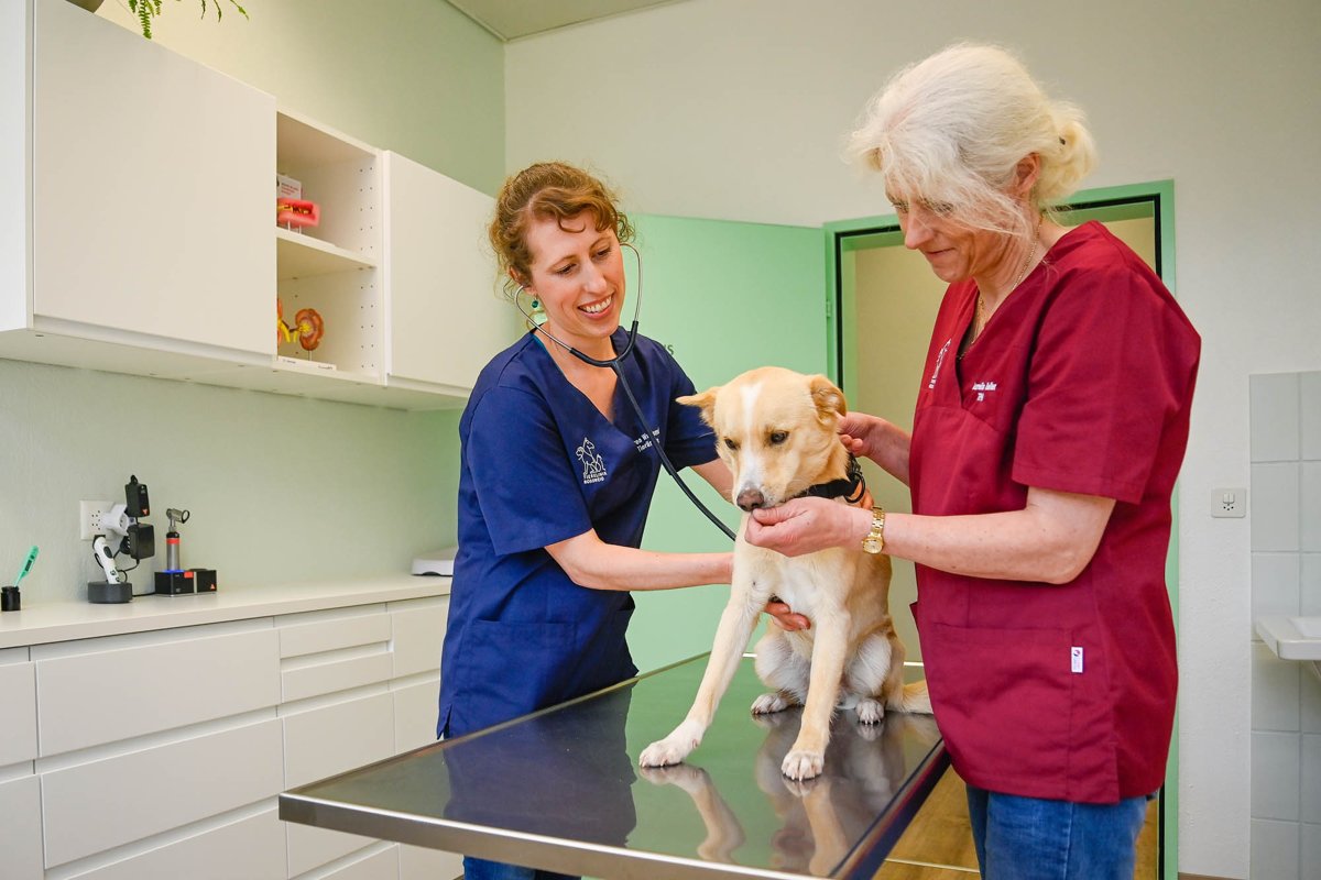 Tierklinik Rossweid