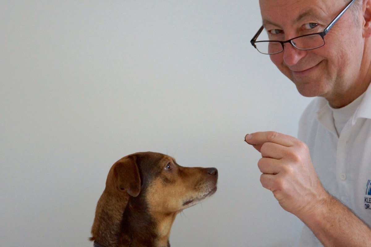 Kleintierpraxis Dr. med. vet Frank Hildenbrand