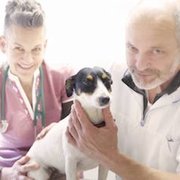 Dr. med.vet. Stephan u. Ines Löscher Tierärztliche Praxis Bad Krozingen