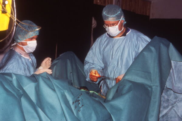 Dr.med.vet. Holger Leinemann Tierarzt