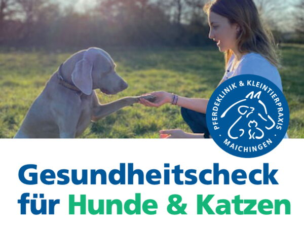 Pferdeklinik & Kleintierpraxis in Maichingen GmbH