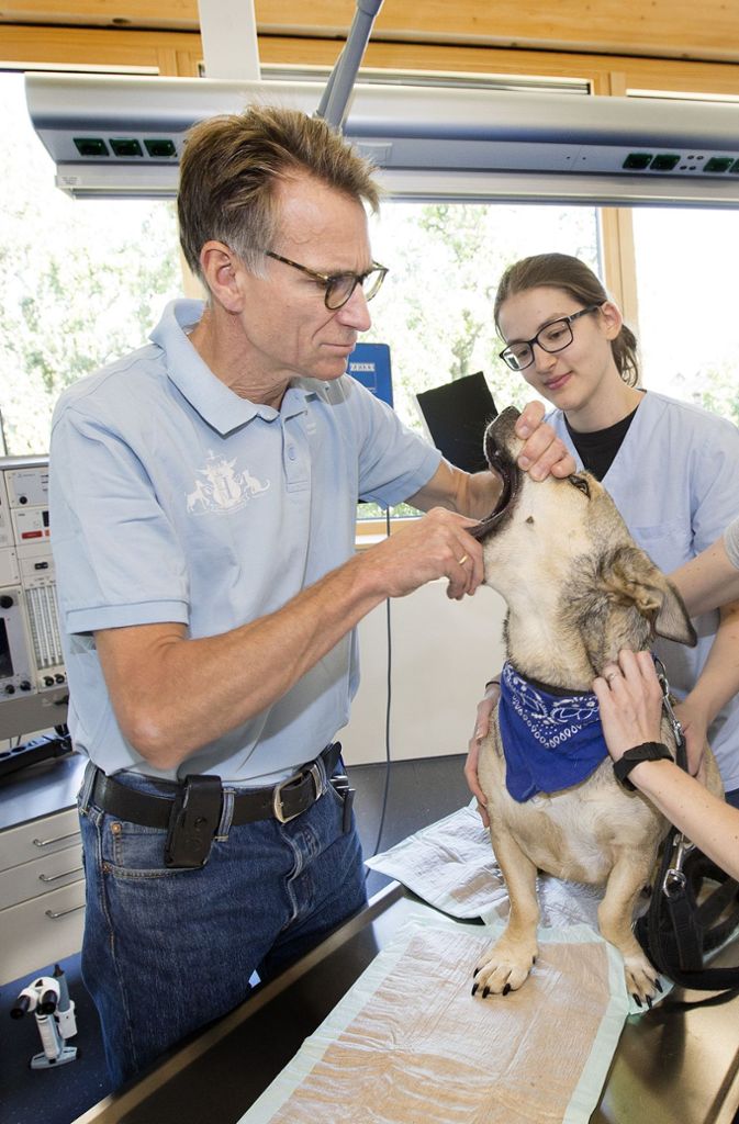 AniCura Tierklinik Stuttgart Plieningen