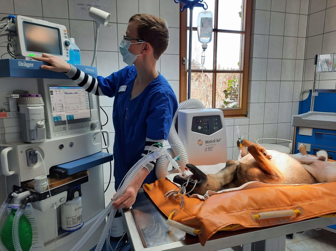 Dr.med.vet. Tanja Richter