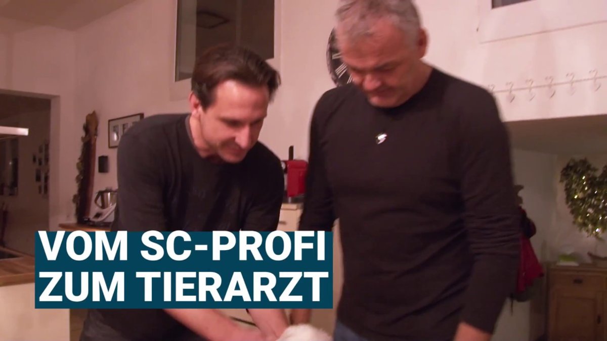 Mobile Kleintierpraxis Wiehre, Tierarzt Stefan Müller