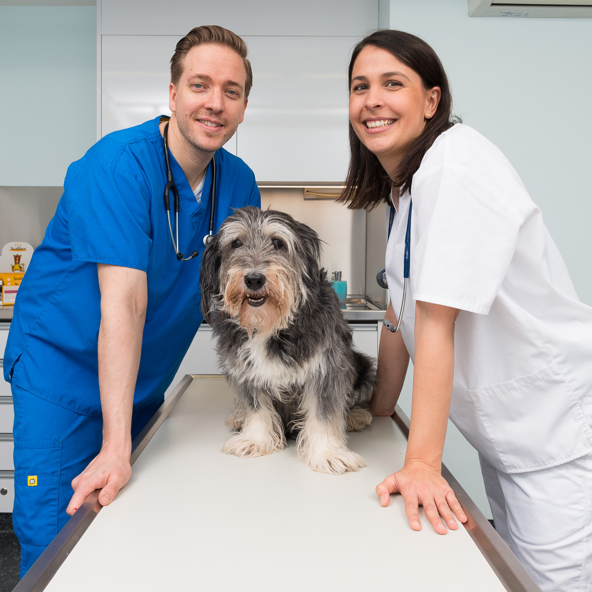 Tierklinik Burkhardt & Partner AG