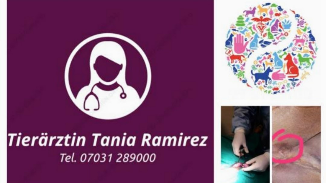 Tierarztpraxis Tania Ramirez Termin nur nach Vereinbarung