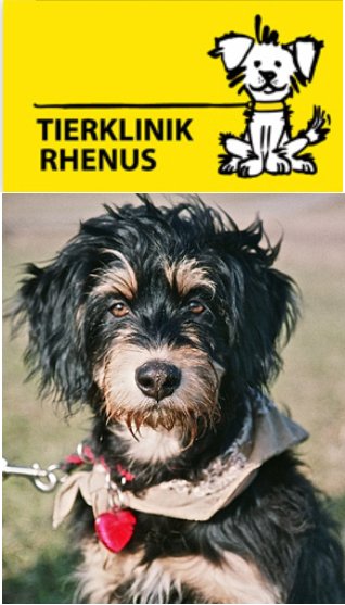 Tierklinik Rhenus AG