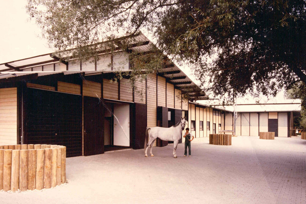 Pferdeklinik an der Rennbahn