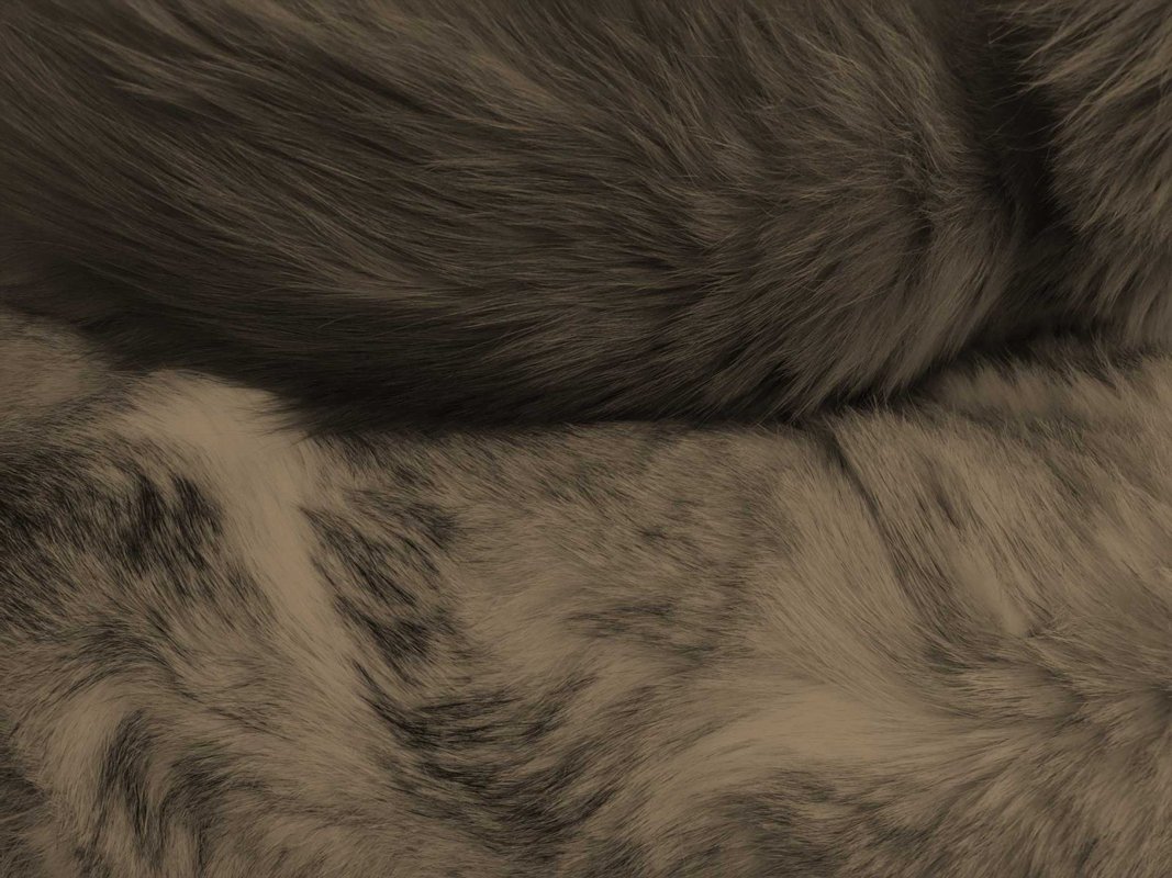 Tierarztpraxis Klotzenhof — Angelica Fritsch