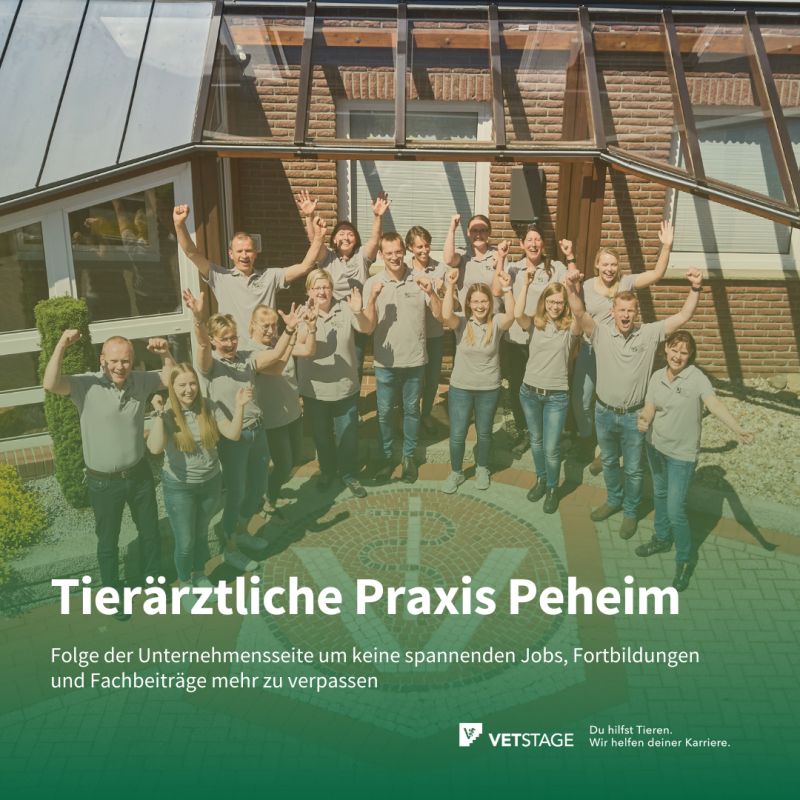 Tierärzte Team Tiefenbach GmbH