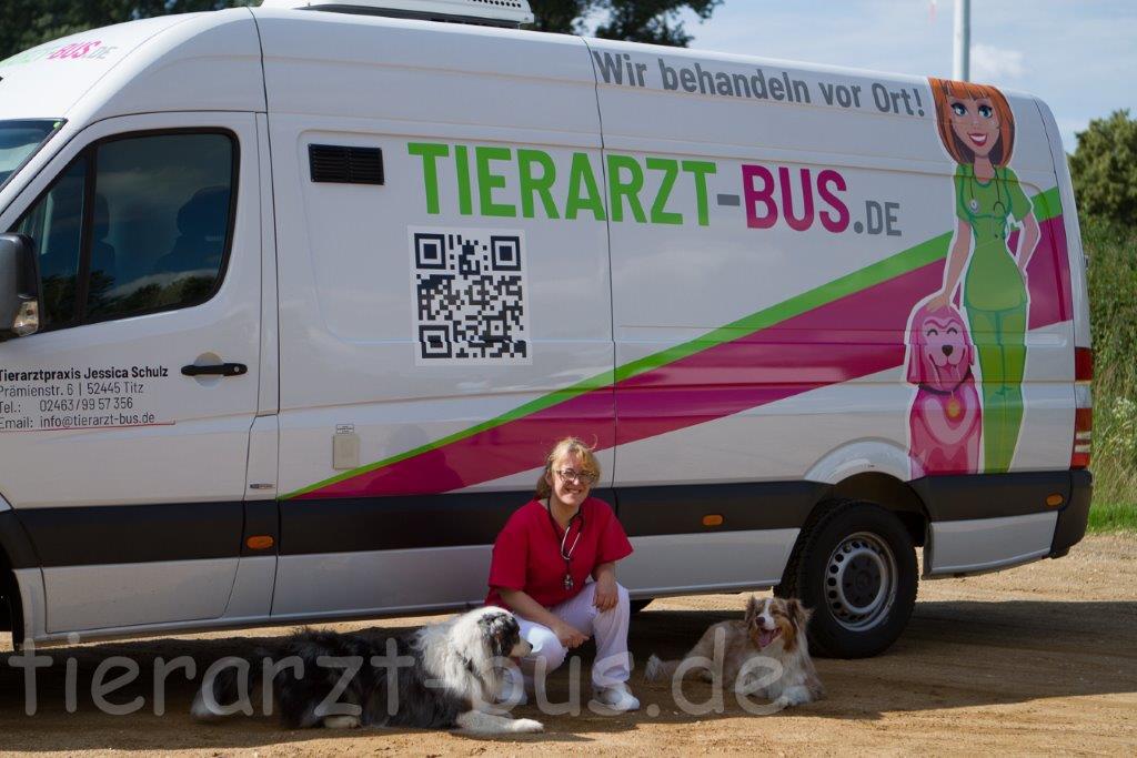 mobile Tierarztpraxis