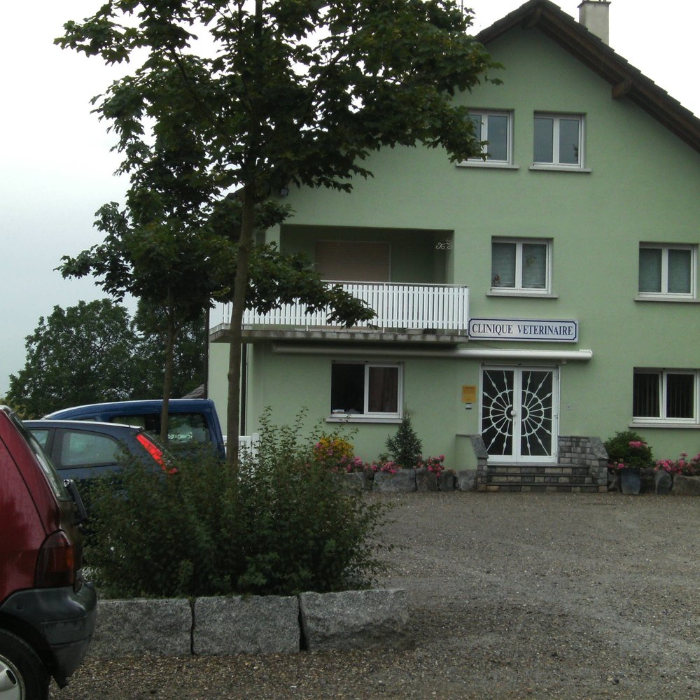 Dr.med.vet. Päivi Steinborn Tierarzt